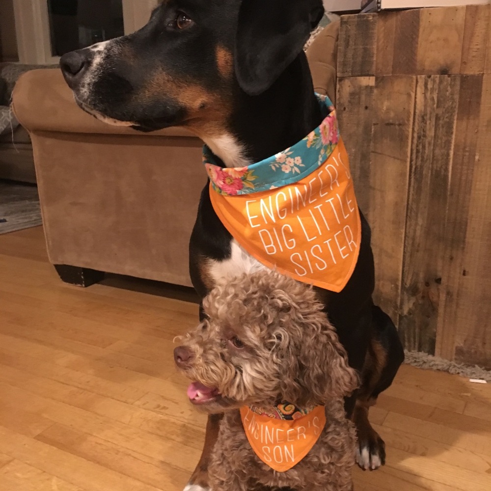 Meet your Posher, Ca